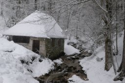 moulin 2022
